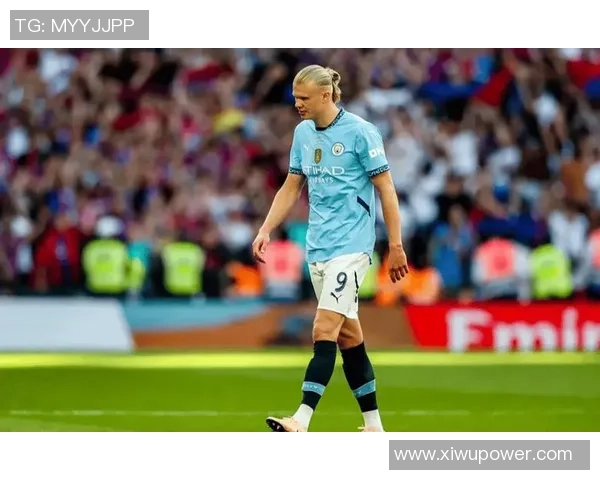 瑞典足球明星哈兰德的崛起与未来展望分析